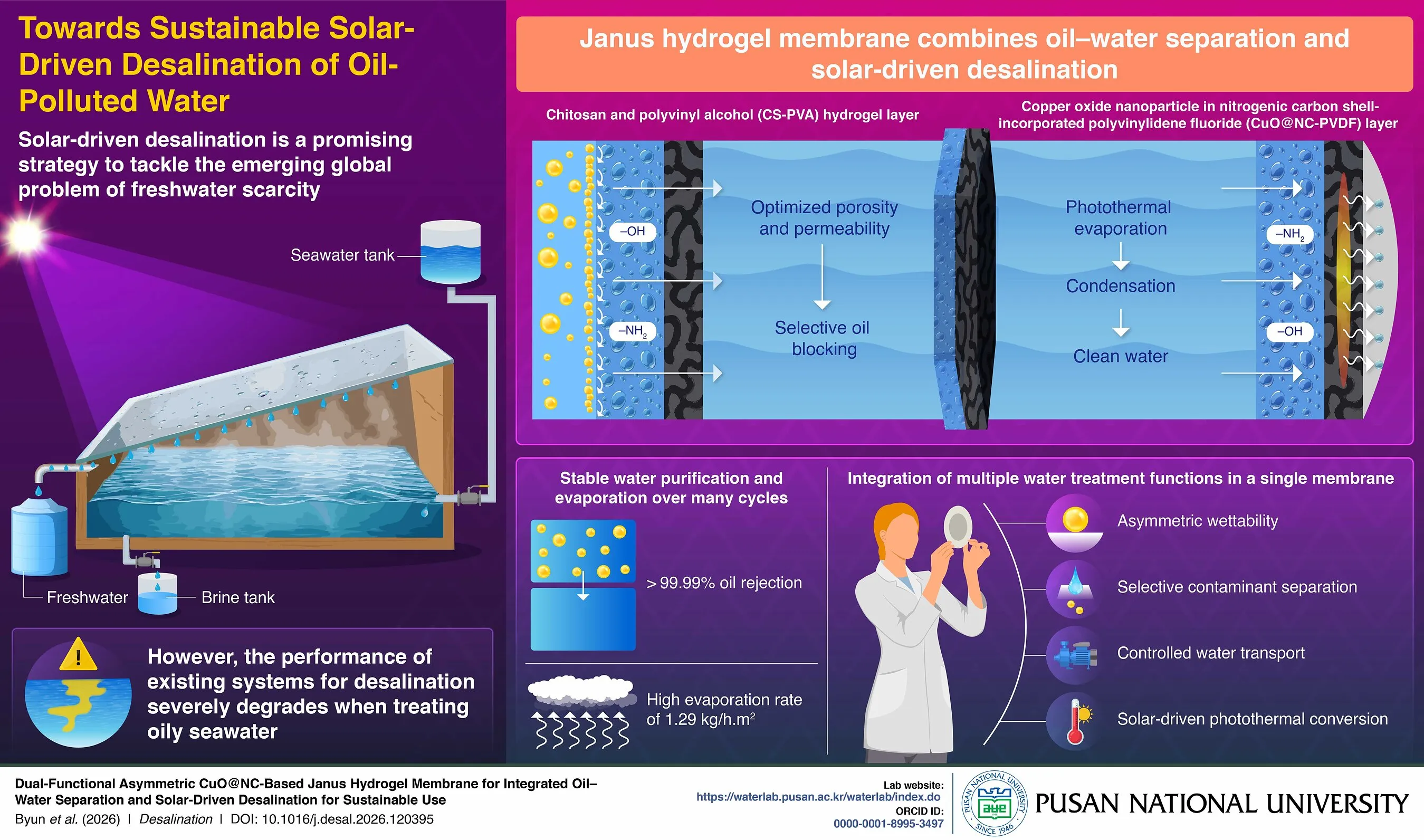 Infographic showing a Janus hydrogel membrane for solar-driven desalination of oil-polluted water.