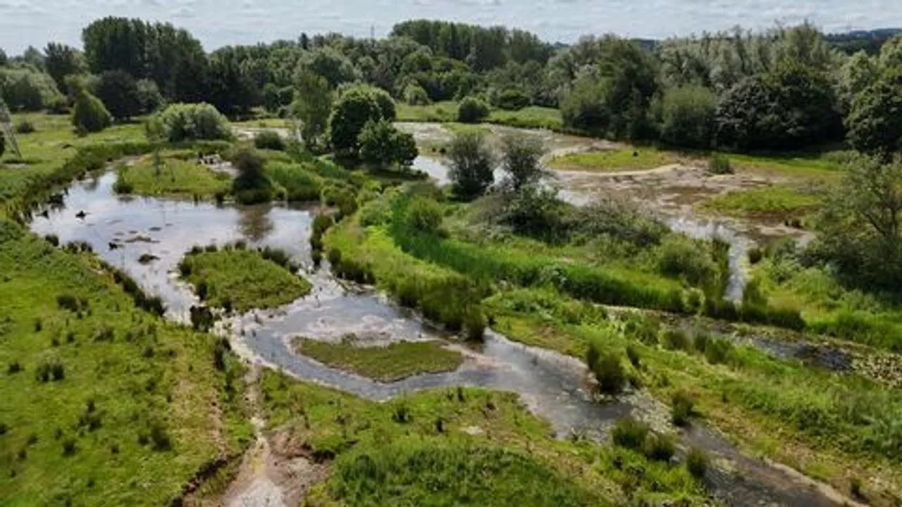 A winding shallow river flowing through a lush green wetland with trees.
