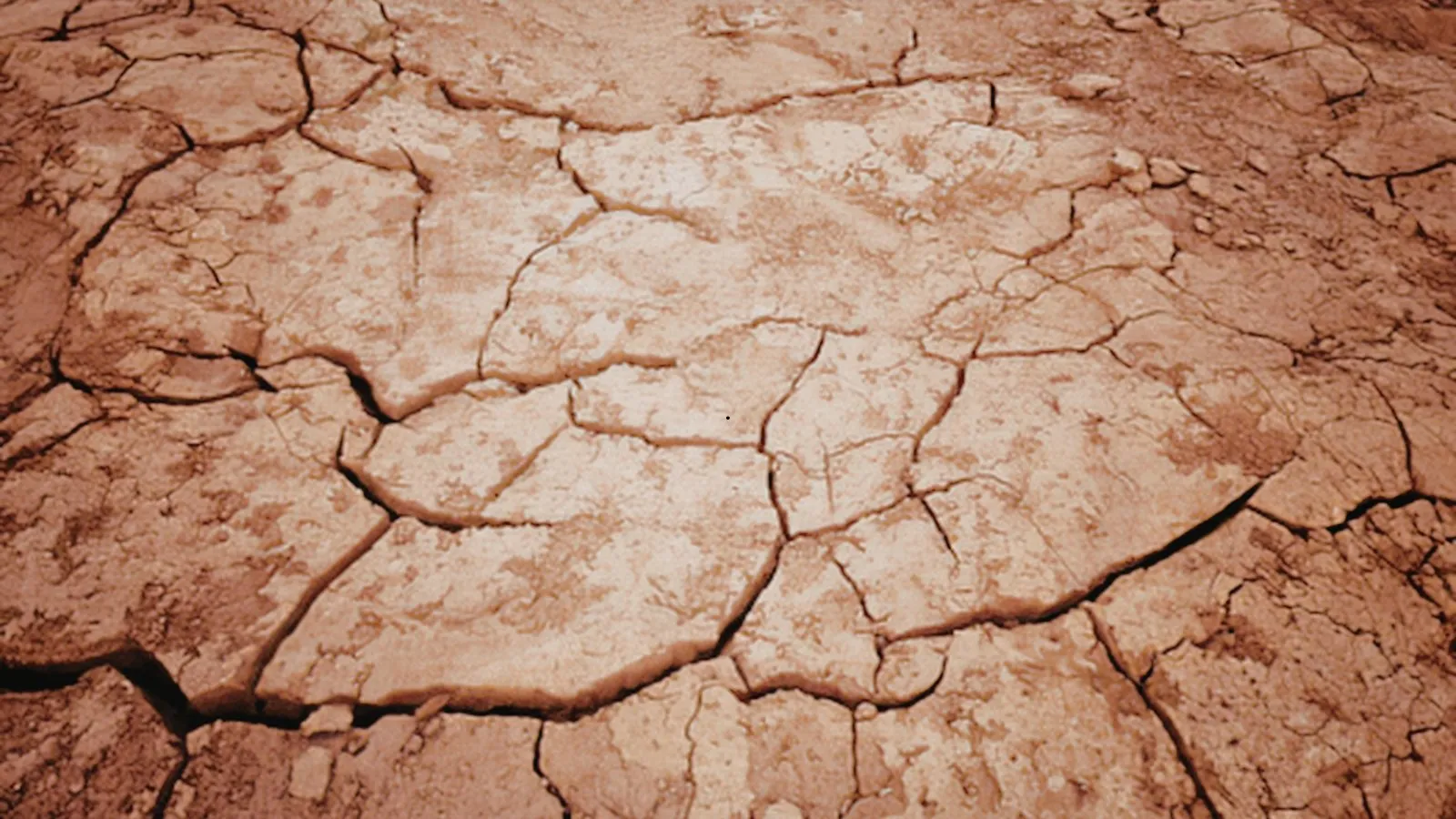 Dry, cracked earth where water has gone