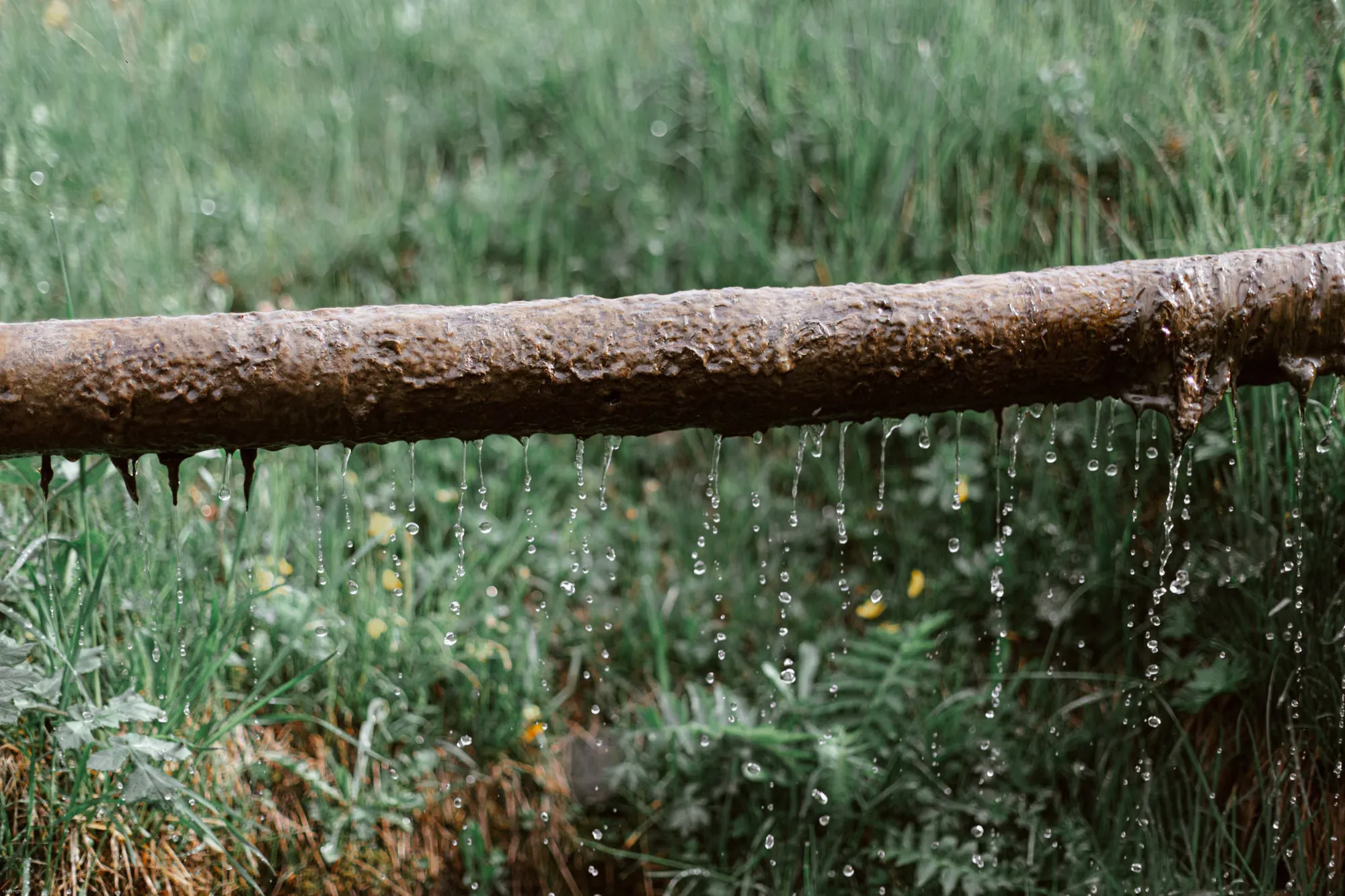 Water dripping from a rusted, leaking pipe above a grassy meadow
