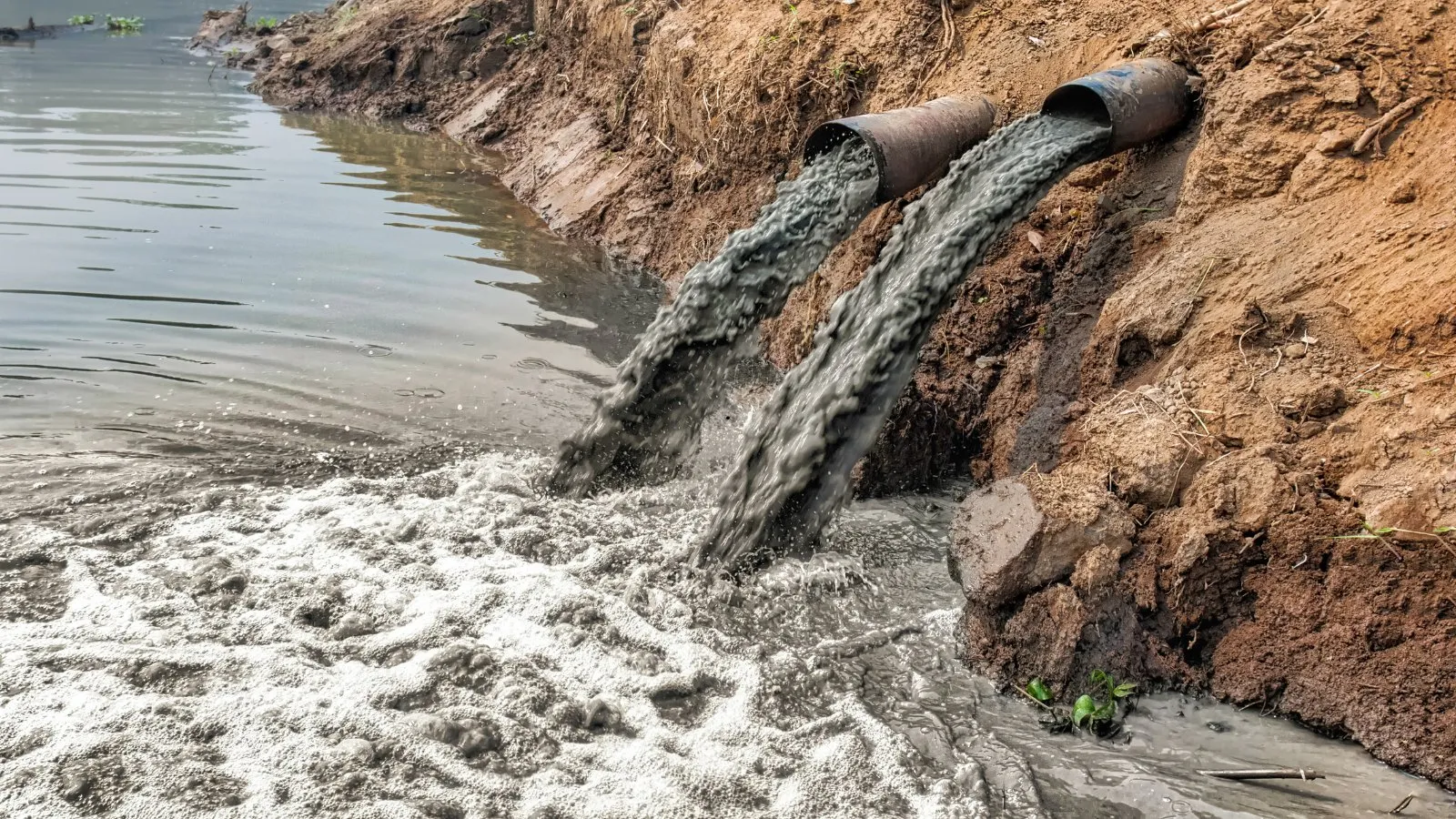 Dirty water pouring from two pipes into a river