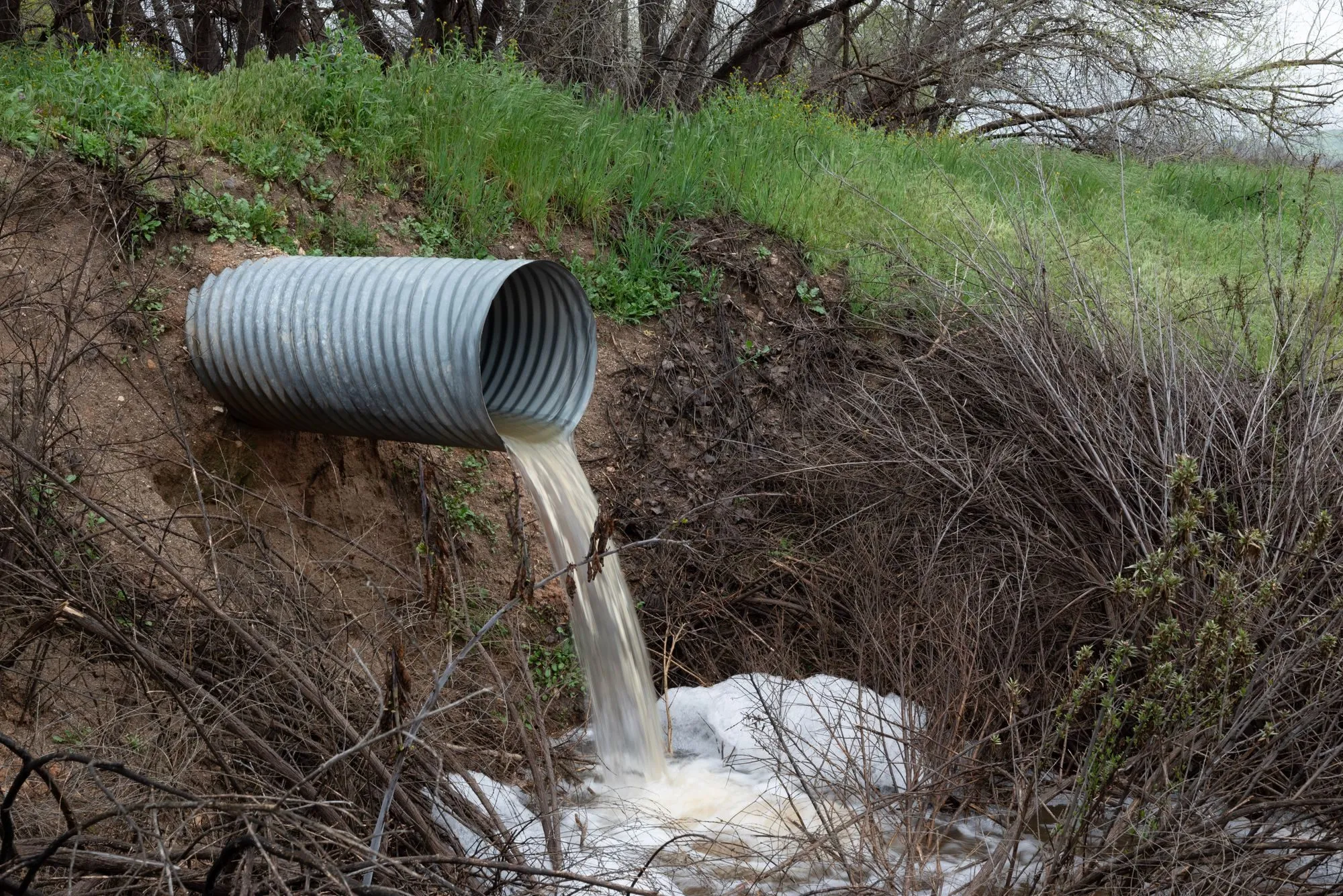 An overflow pipe pouring discoloured, foaming water into a stream